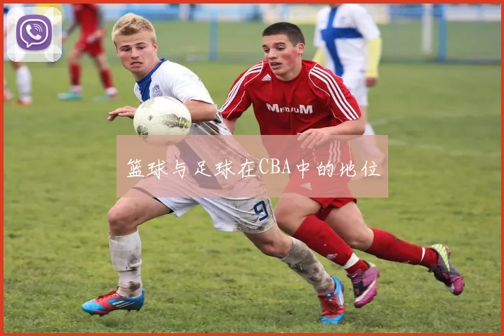 篮球与足球在CBA中的地位