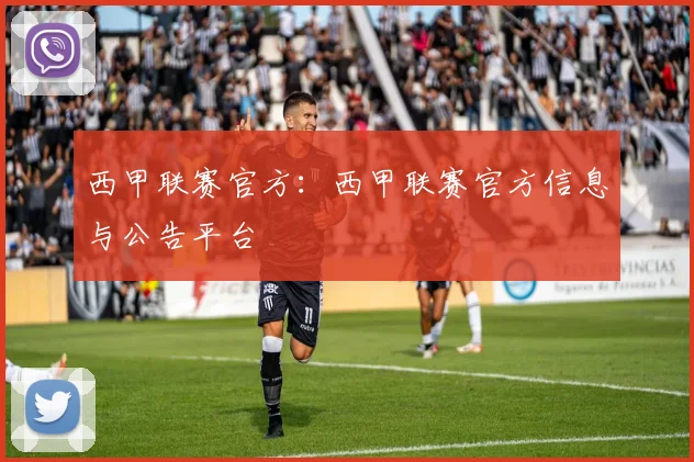 西甲联赛官方：西甲联赛官方信息与公告平台
